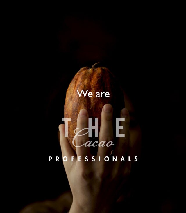 THE Cacao PROFESSIONALS