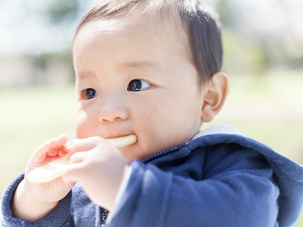 9ヵ月の赤ちゃんの発育と発達 学ぶ 赤ちゃんの発育と発達 0ヶ月 11ヶ月 ほほえみクラブ 育児応援サイト