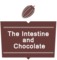 The Intestine and Chocolate