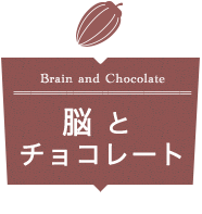 脳とチョコレート