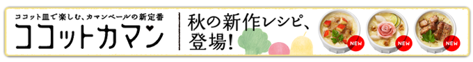 �R�R�b�g�J�}�����V�s