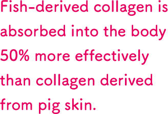 Fish-derived collagen is absorbed into the body 50% more effectively than collagen derived from pig skin.