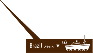 Brazil ブラジル