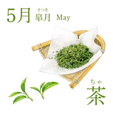 5月（皐月／May）『茶』