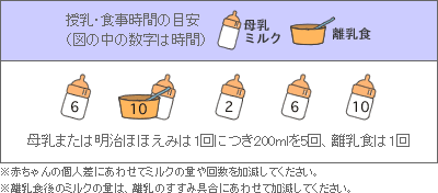 授乳・食事時間の目安