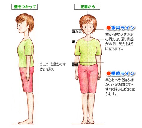 足を少し開いて壁の前に立ち、後頭部、背中、おしり、ふくらはぎ、かかとを壁に付け、お腹をひっこめてウェストと壁の隙間をできるだけ狭くする図