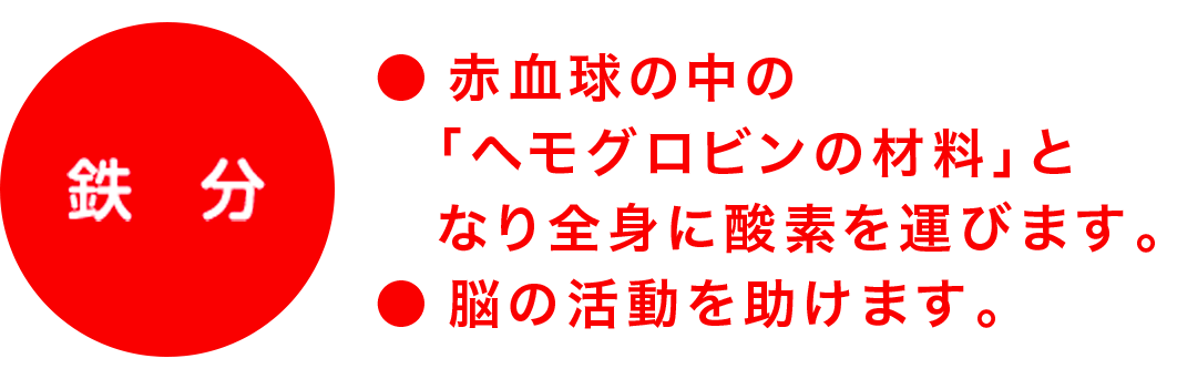 鉄分 赤血球の中の「ヘモグロビンの材料」となり全身に酸素を運びます。脳の活動を助けます。