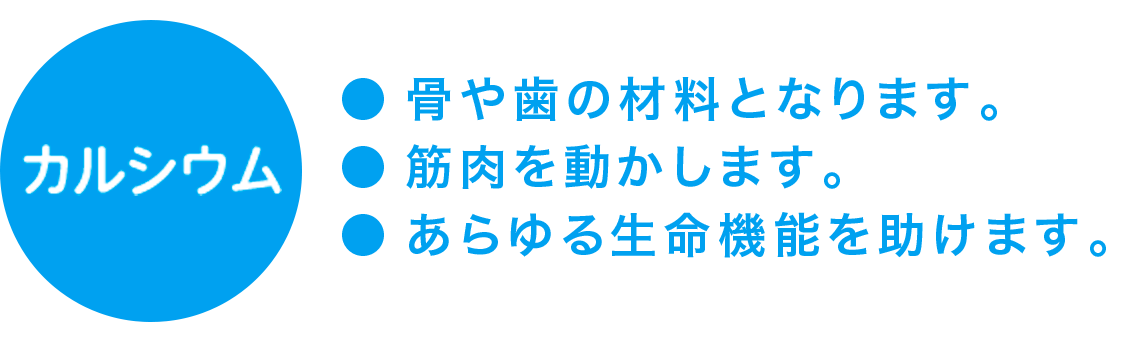 カルシウム 骨や歯の材料となります。筋肉を動かします。あらゆる生命機能を助けます。