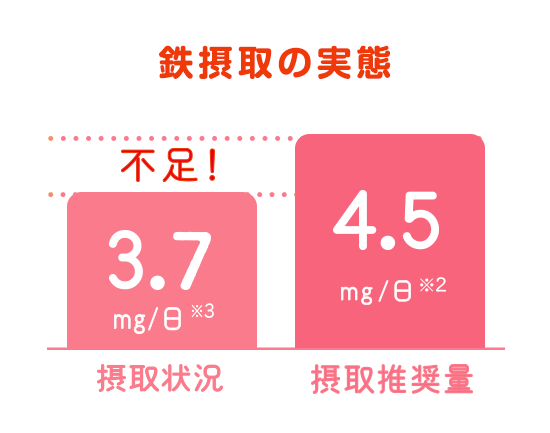 鉄摂取の実態