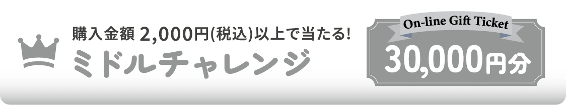 購入金額 2,000円(税込)以上で当たる!ミドルチャレンジ[On-line Gift Ticket 30,000円分]