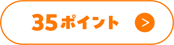 35ポイント