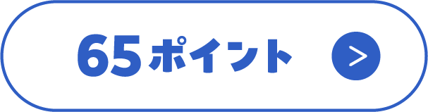 65ポイント