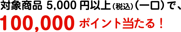 対象商品 5,000円以上（税込）（一口）で、100,000ポイント当たる！