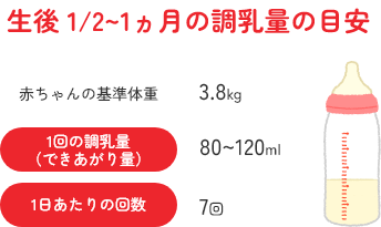 生後 1/2～1ヵ月の調乳量の目安