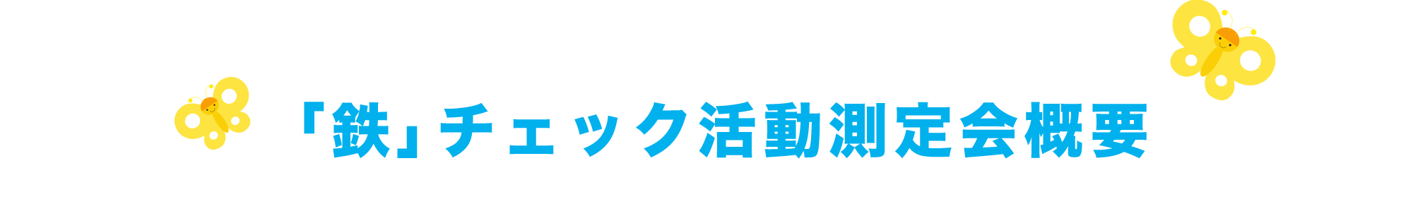 「鉄」チェック活動測定会概要