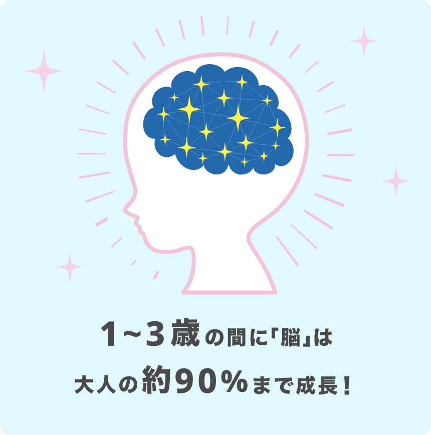 1〜3歳の間に「脳」は大人の約90%まで成長！