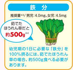 鉄分