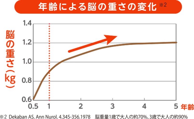 年齢による脳の重さの変化のグラフ