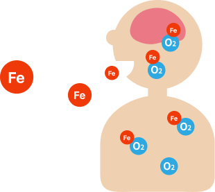 鉄のはたらきの図