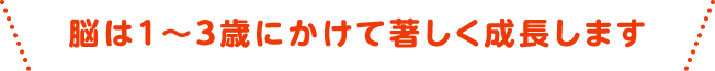 脳は1～3歳にかけて著しく成長します