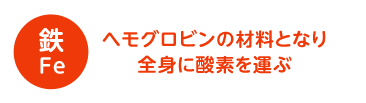 鉄 ヘモグロビンの材料となり全身に酸素を運ぶ