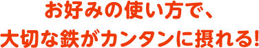 お好みの使い方で、大切な鉄がカンタンに摂れる！