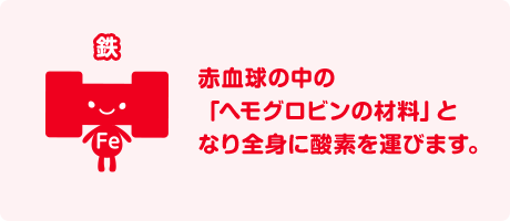 鉄分：赤血球の中の「ヘモグロビンの材料」となり全身に酸素を運びます。