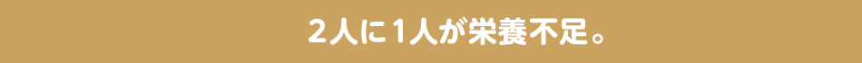 2人に1人が栄養不足。