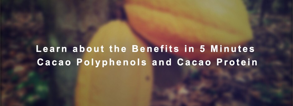 Learn about the Benefits in 5 Minutes Cacao Polyphenols and Cacao Protein