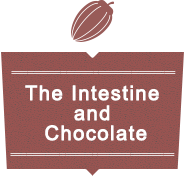 The Intestine and Chocolate