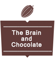 The Brain and Chocolate