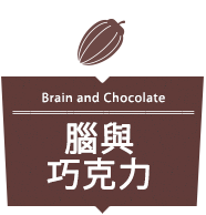 腦與巧克力