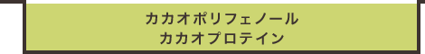 カカオポリフェノール カカオプロテイン