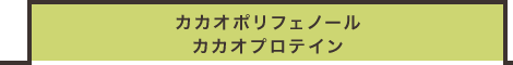 カカオポリフェノール カカオプロテイン