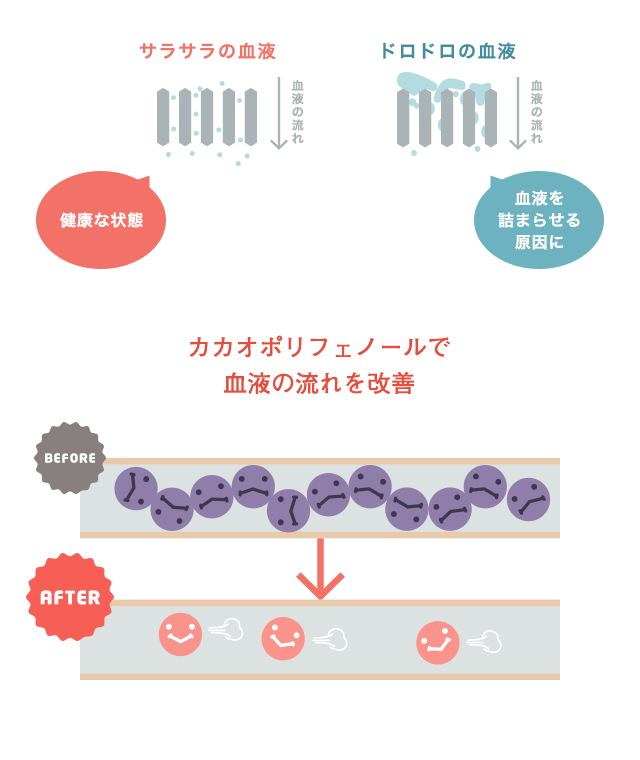 動脈硬化 チョコレート みんなの健康チョコライフ 株式会社 明治 Meiji Co Ltd