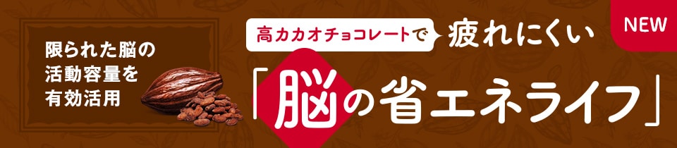 高カカオチョコレートで疲れにくい「脳の省エネライフ」