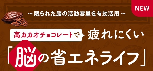 高カカオチョコレートで疲れにくい「脳の省エネライフ」