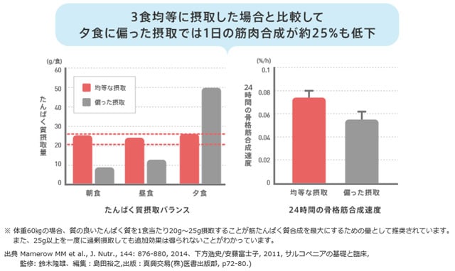 グラフ：たんぱく質摂取バランスのグラフ画像、24時間の骨格筋合成速度のグラフ画像