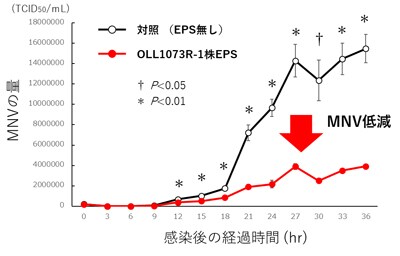 グラフ：(図1)MNV量の推移のグラフ画像