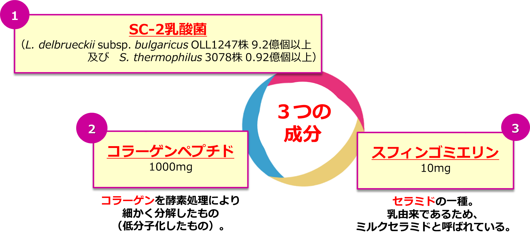 イラスト：3つの成分イメージ ①SC-2乳酸菌(L. delbrueckii subsp. bulgaricus OLL1247株 9.2億個以上及び S. thermophilus 3078株 0.92億個以上)、②コラーゲンペプチド1000mg コラーゲンを酵素処理により細かく分解したもの(低分子化したもの)。、③スフィンゴミエリン10mg セラミドの一種。乳由来であるため、ミルクセラミドと呼ばれている。