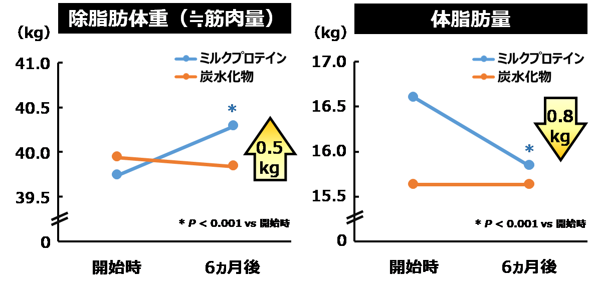 グラフ：飲料を摂取した6ヵ月間の体組成の変化の様子。ミルクプロテインを含む飲料を摂取したグループのみ、除脂肪体重（≒筋肉量）は6か月後に0.5kg増加、体脂肪量は6か月後に0.8kg減少している。