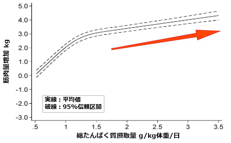 グラフ：たんぱく質摂取量を増やすほど筋肉量が増加する様子。実線：平均値　破線：95％信頼区間