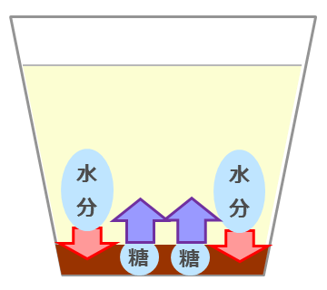 イラスト：ヨーグルト内のイメージ図