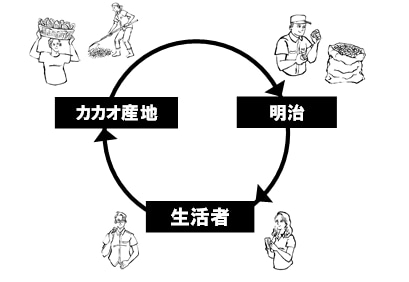 画像：循環イメージ 明治→生活者→カカオ産地