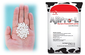 画像：アミノ酸バランス改善飼料「AjiPro<sub>&reg;</sub>-L」について 飼料と商品パッケージ