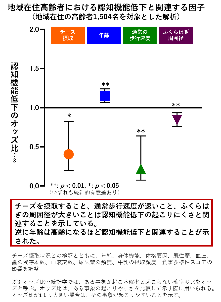 チーズを接種すること、通常歩行速度が早いこと、ふくらはぎの周囲径が大きいことは認知機能低下の起こりにくさと関係することを示した図