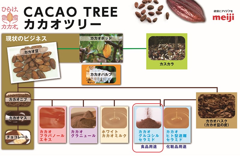 図：「カカオツリー」のイメージ