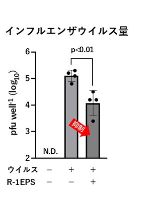 画像：図3　細胞内インフルエンザウイルス量