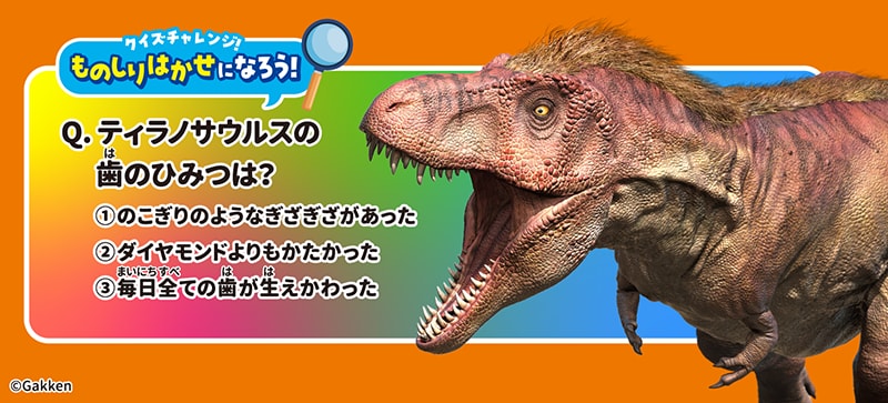 クイズチャレンジ!ものしりはかせになろう!の画像