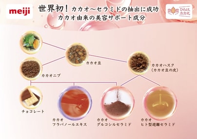 画像:カカオセラミドの抽出イメージ